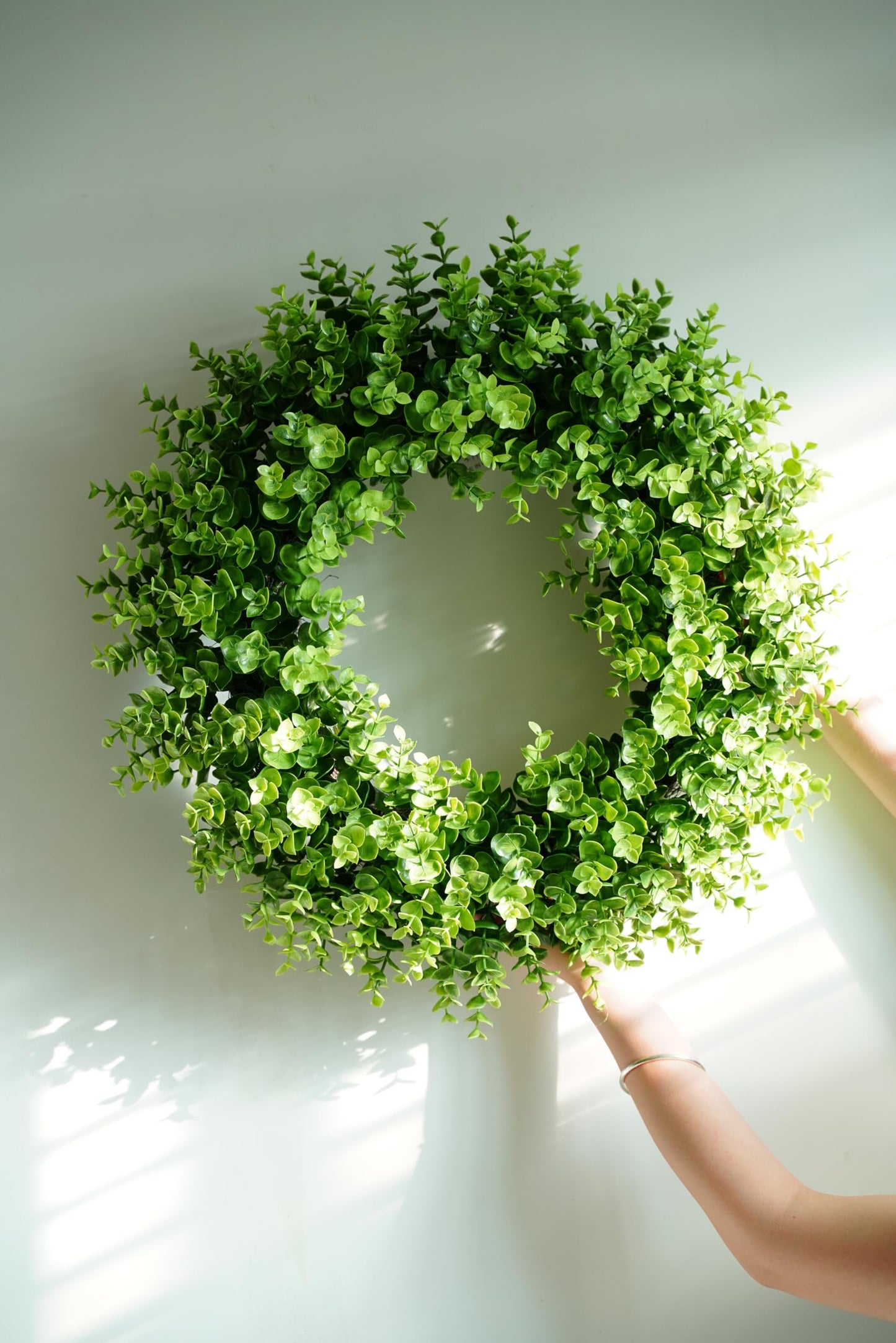 22" Boxwood Wreaths