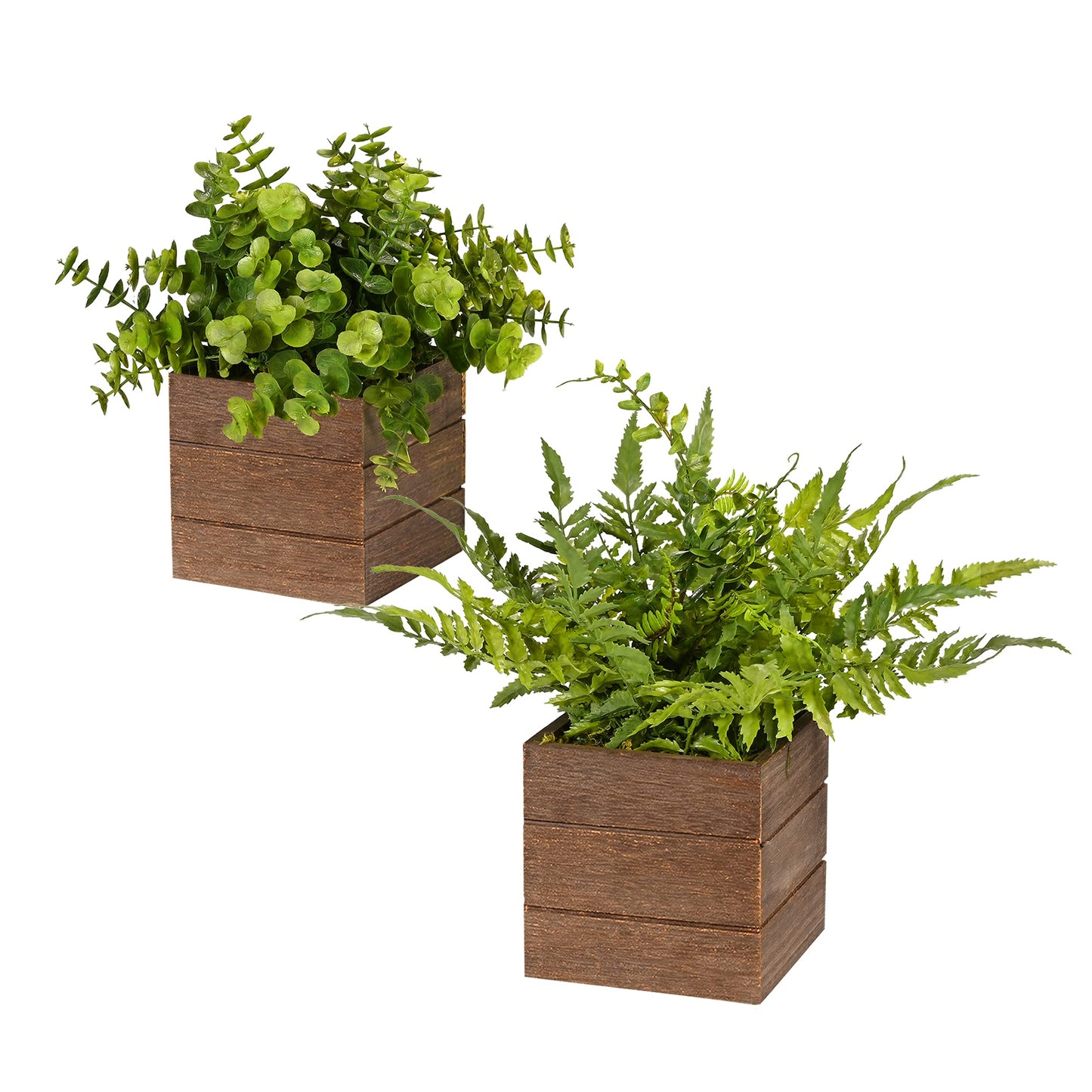2 Pack Mini Potted Artificial Plastic Boxwood Fern Green Decorative Plant