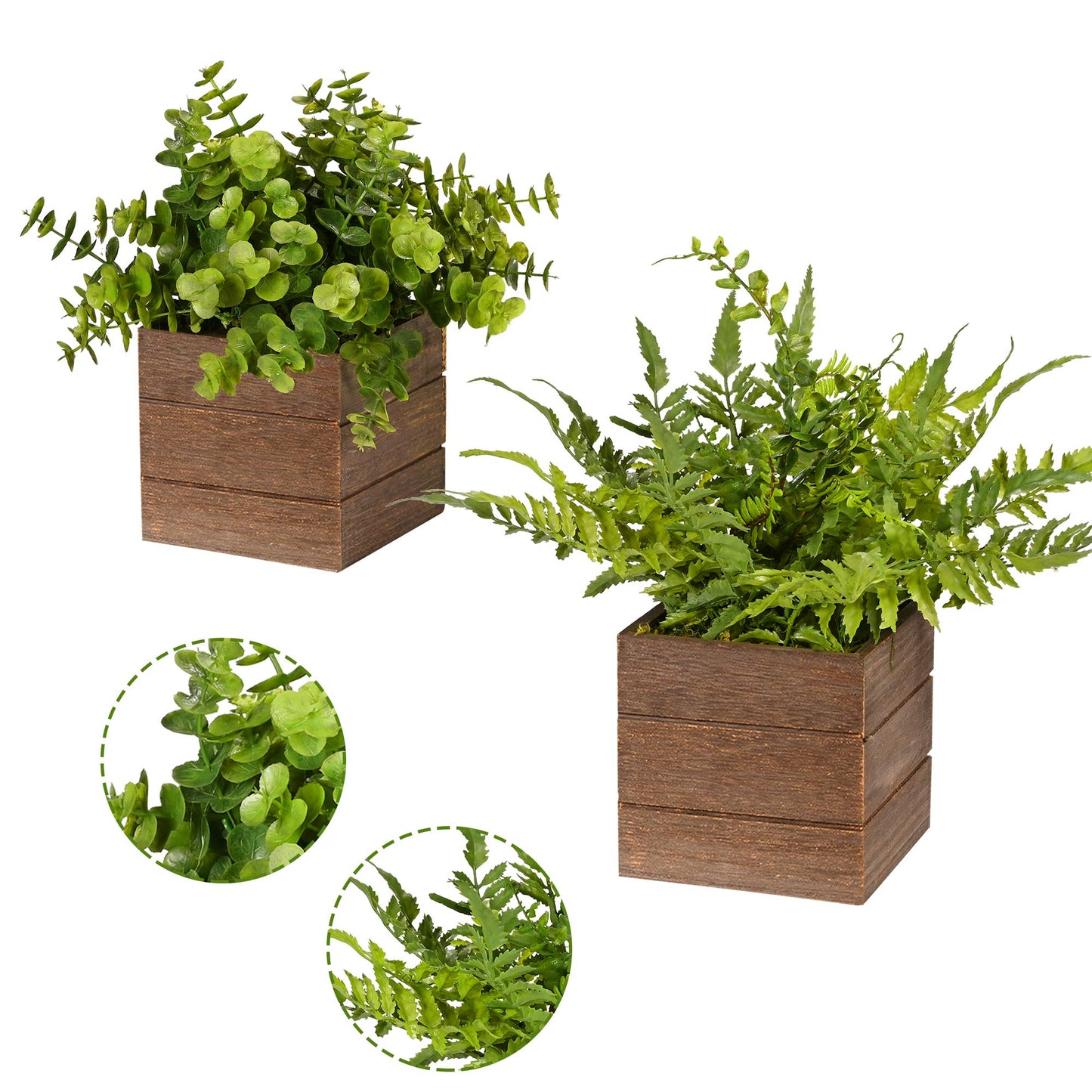 Mini Potted Artificial Plastic Boxwood Fern (2 pack)