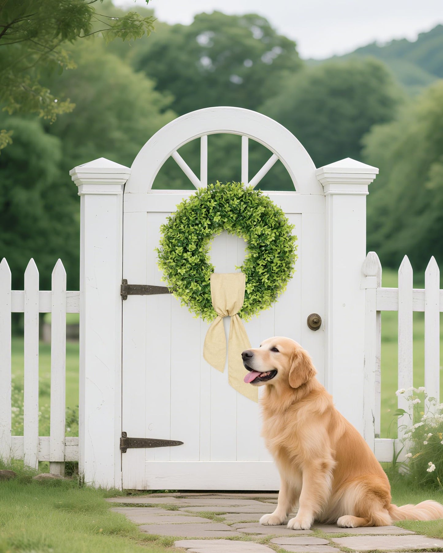 20" Boxwood Wreaths